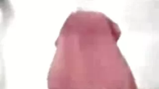 Personal trainer fodido uma menina peituda em vídeo pornô caseiro amador uma boceta peluda
