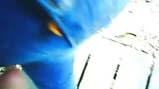 Mulher fodida na buceta com jardineiro na natureza e na tenda ok google vídeo pornô